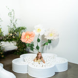 Mini Daisy Ball Pit